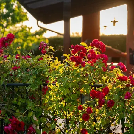 Casa De Aldea Con Piscina Calefactada Opcional - Ca-1451-as منزل ريفي *