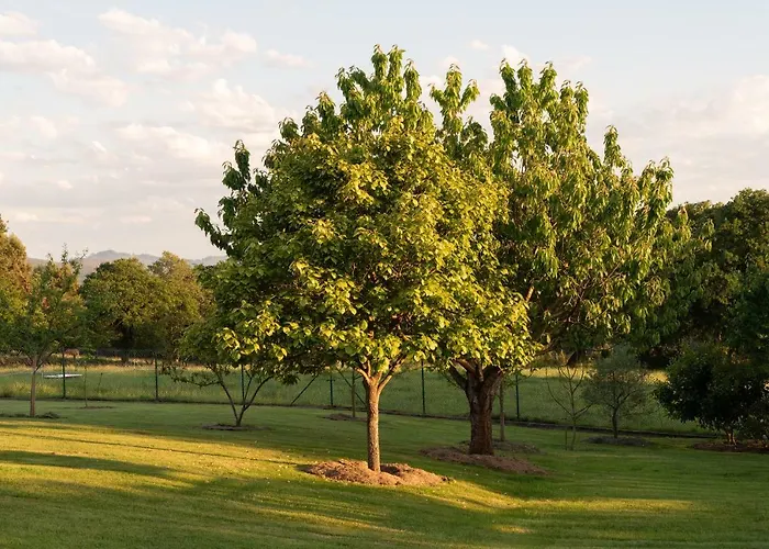 Casa De Aldea Con Piscina Calefactada Opcional - Ca-1451-as * فِيافيثيوسّا