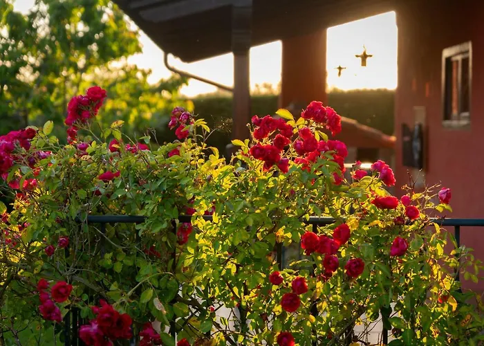 Casa De Aldea Con Piscina Calefactada Opcional - Ca-1451-as منزل ريفي *