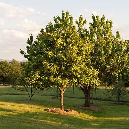 Casa De Aldea Con Piscina Calefactada Opcional - Ca-1451-as * Villaviciosa